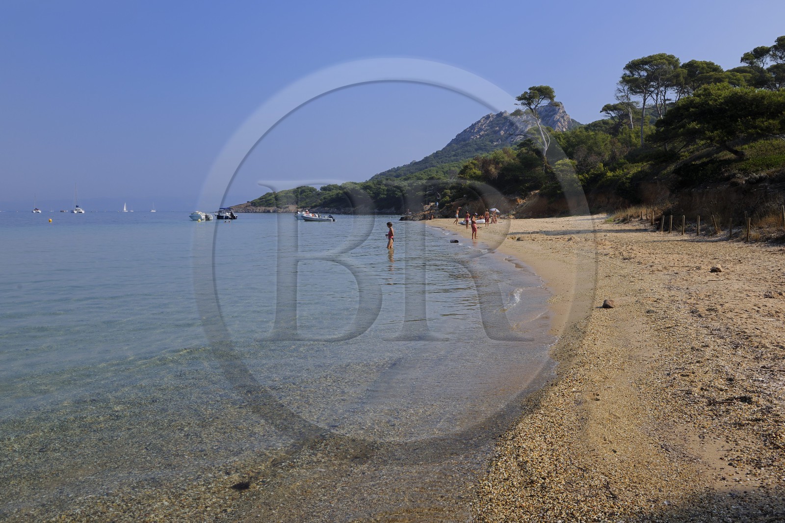 France, Var (83), Iles d'Hyères, parc national de Port-Cros, île de Porquerolles, la Plage Notre Dame