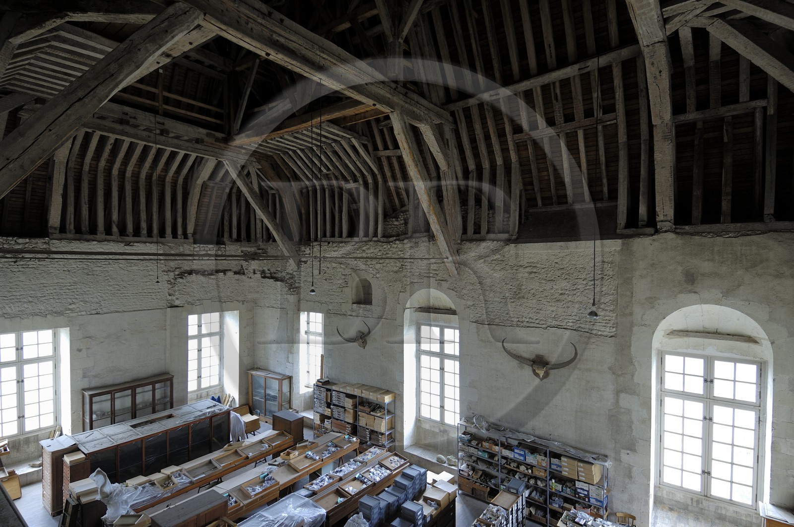 France, Loir-et-Cher (41), vallée de la Loire classée au Patrimoine Mondial de l'UNESCO, château de Blois, réserves du Muséum d'histoire naturelle sous les combles de l'aile Gaston d'Orléans