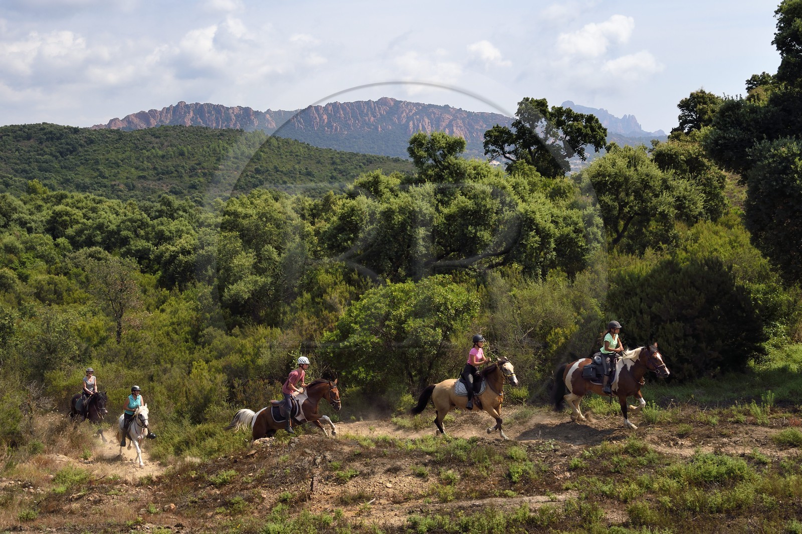 France, Var (83), Agay commune de Saint-Raphaël, cavaliers en randonnée dans le massif de l'Estérel et le rastel d'Agay en arrière plan