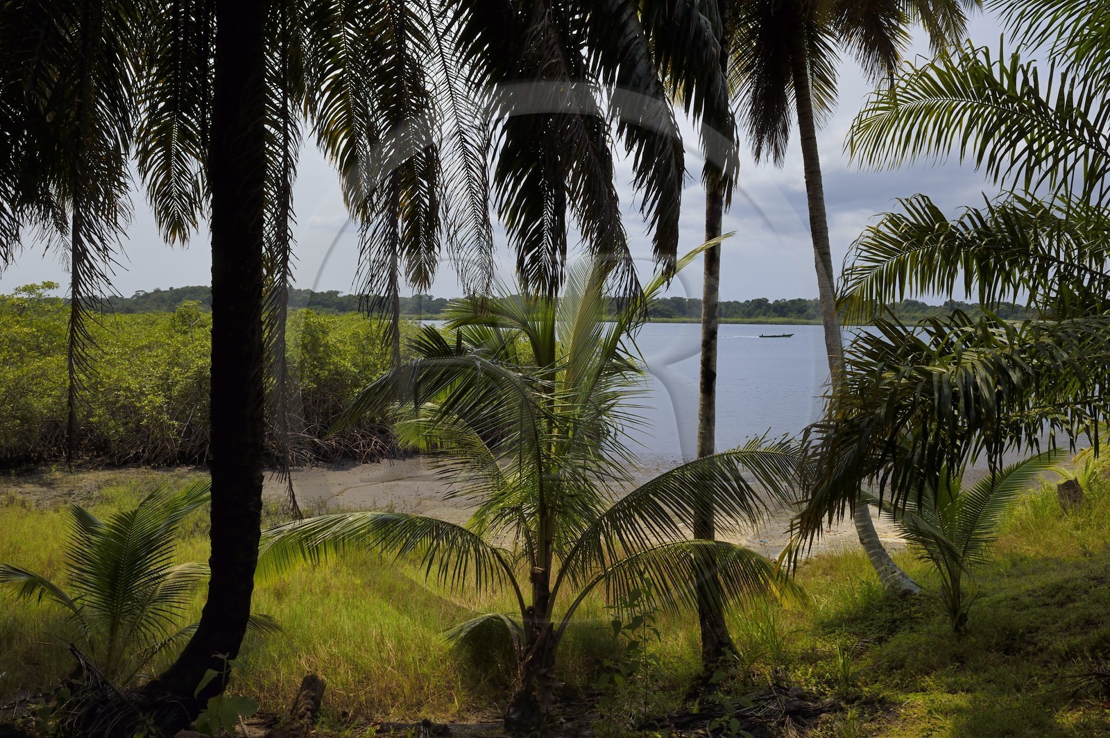 Gabon, province de l'Estuaire, Parc National Akanda