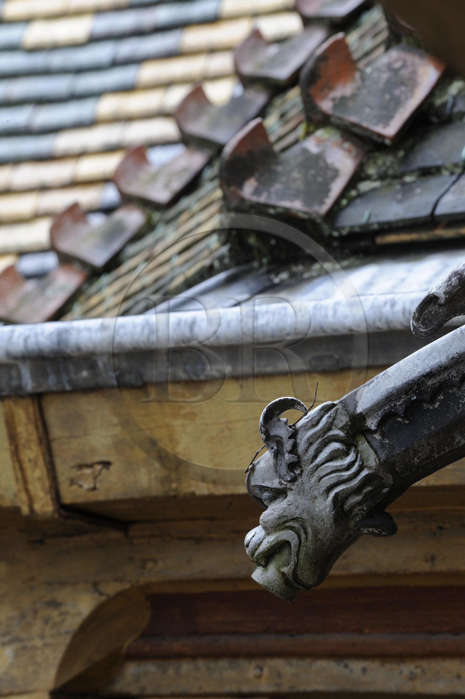 France, Côte-d'Or (21), Hospice de Beaune, tuiles colorées et détail de le toiture