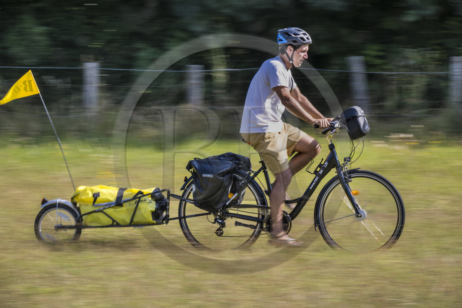 France, Maine-et-Loire (49), vallée de la Loire classée au Patrimoine Mondial par l'UNESCO, Saumur vers Saint-Hilaire, randonnée à bicyclette sur les berges de la Loire, vélo avec une remorque transportant le matériel de camping