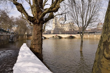 France, Paris (75), les rives de la Seine, classées Patrimoine Mondial de l'UNESCO, la Seine en crue quai de la Tournelle et la Cathédrale Notre-Dame sous la neige sur l'Ile de la Cité