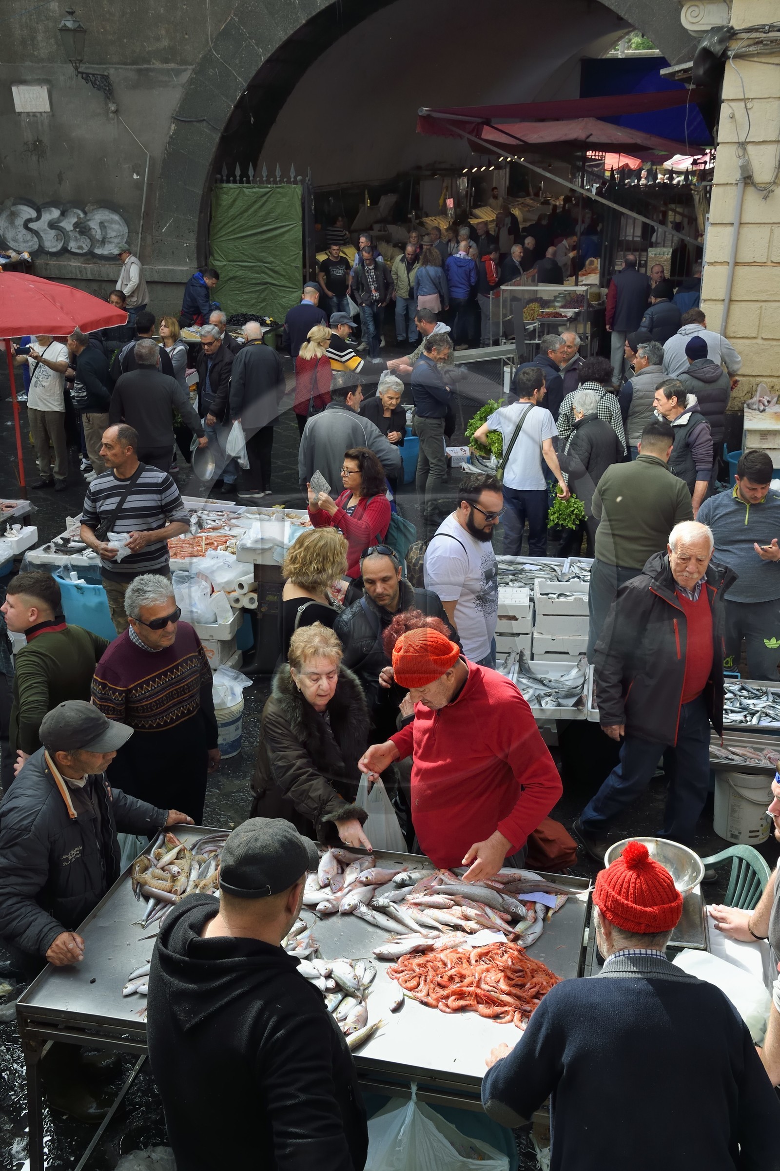 Italie, Sicile, Catane, ville baroque classée au Patrimoine Mondial de l'UNESCO, le marché aux poissons Pescheria de la Piazza Alonzo di Benedetto