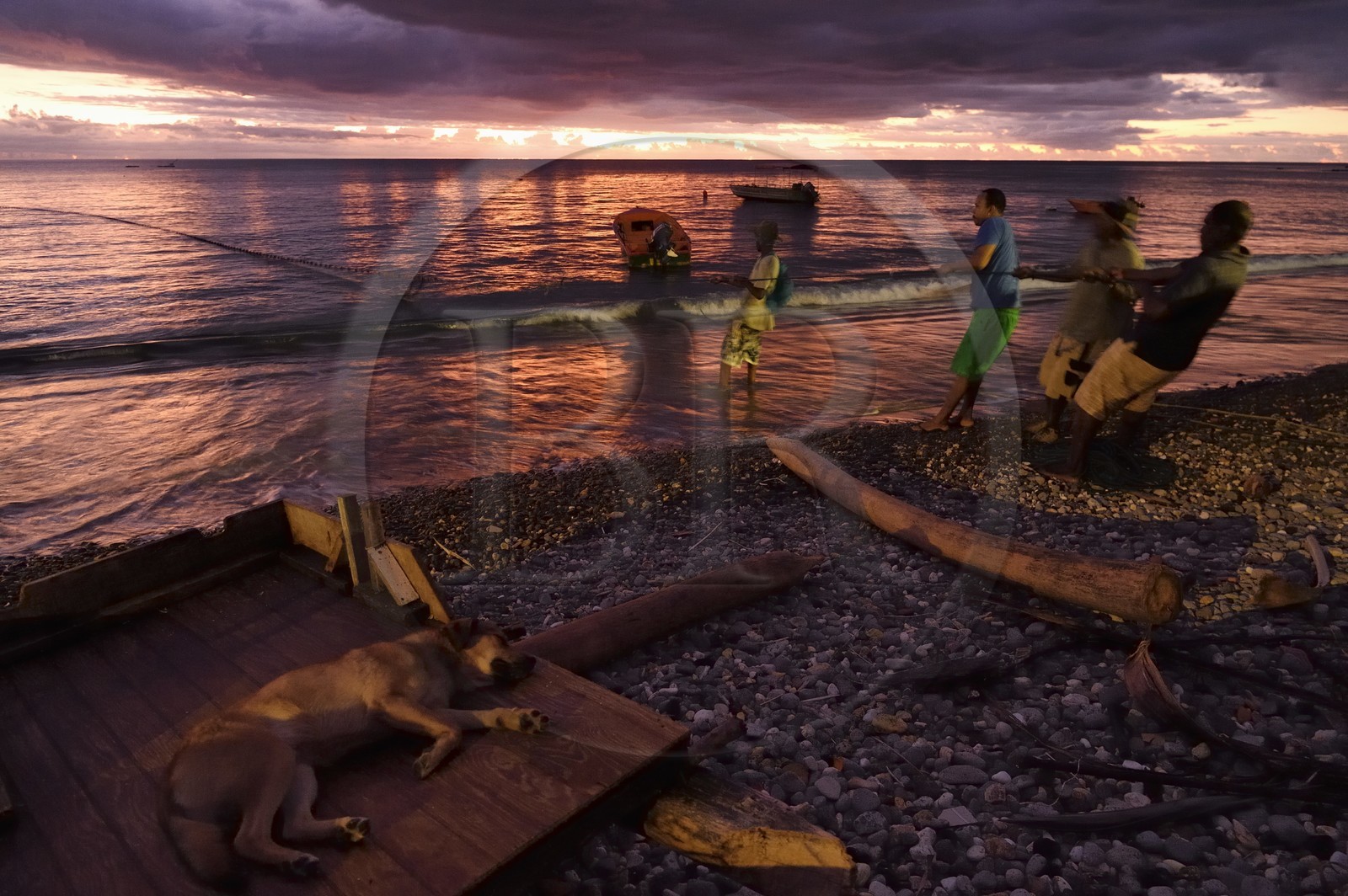 Caraïbes, Ile de la Dominique, baie de Soufrière, le village de Soufrière, pêche au filet en bordure de plage à la tombée de la nuit