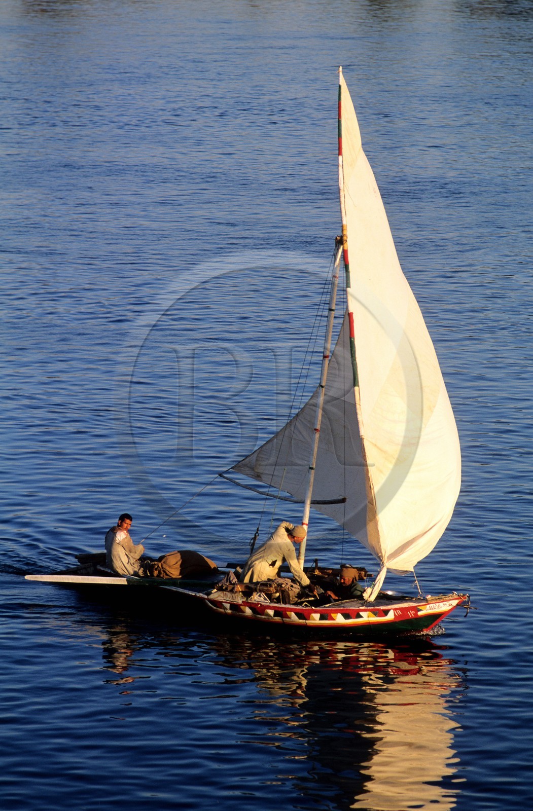Egypte, Assouan, felouques sur le Nil