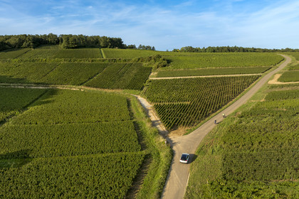 France, Cote d'Or, Climats terroirs of Burgundy listed as World Heritage by UNESCO, Route des Grands Crus, Cote de Beaune vineyard at Pernand-Vergelesses (aerial view)