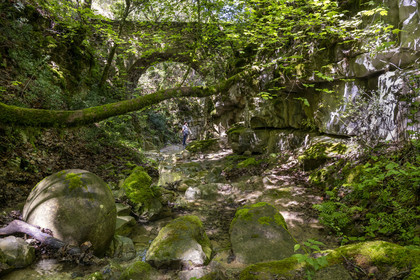 France, Vaucluse (84), Dentelles de Montmirail, Sablet, la rivière le Trignon surplombé par l'ancien pont de l'abbaye en ruine de moniales du VIIe siècle dans le vallon de Prébayon