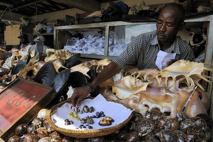 Tanzanie, Dar es-Salaam, vendeurs de coquillages & co au marché aux poissons de Kivukoni