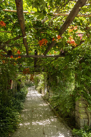 Italy, Liguria, Province of Imperia, Ventimiglia, Hanbury Botanical Garden, the arbor