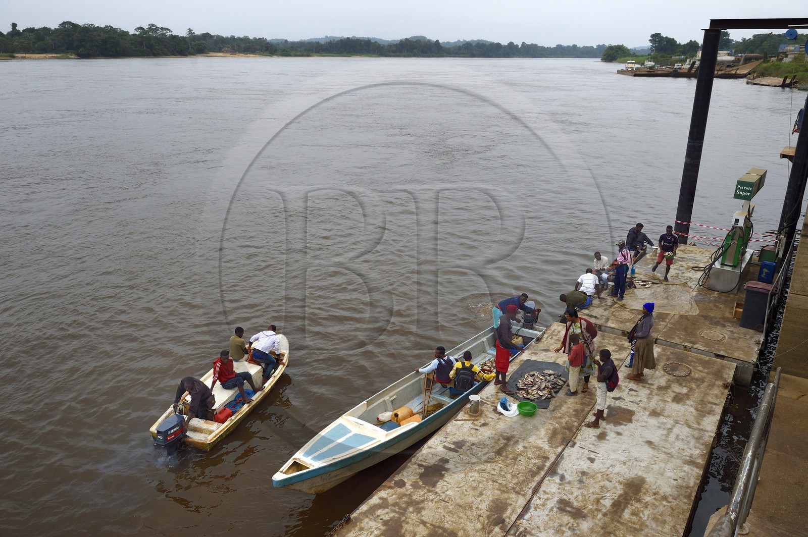 Gabon, Province du Moyen-Ogooué, le fleuve Ogooué, vente de poissons sur les pirogues au port de Lambaréné