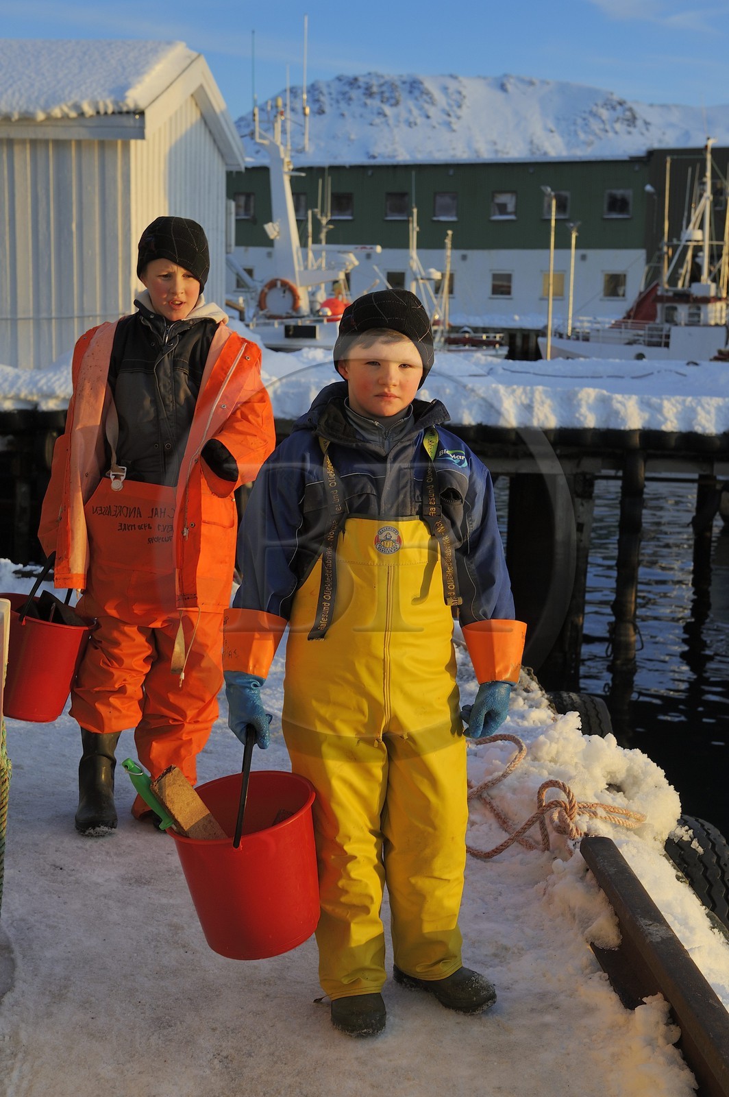 Norvège, Nordland, iles des Westeralen, port de Myre, jeunes garçons se faisant de l'argent de poche en travaillant pour une usine de cabillaud