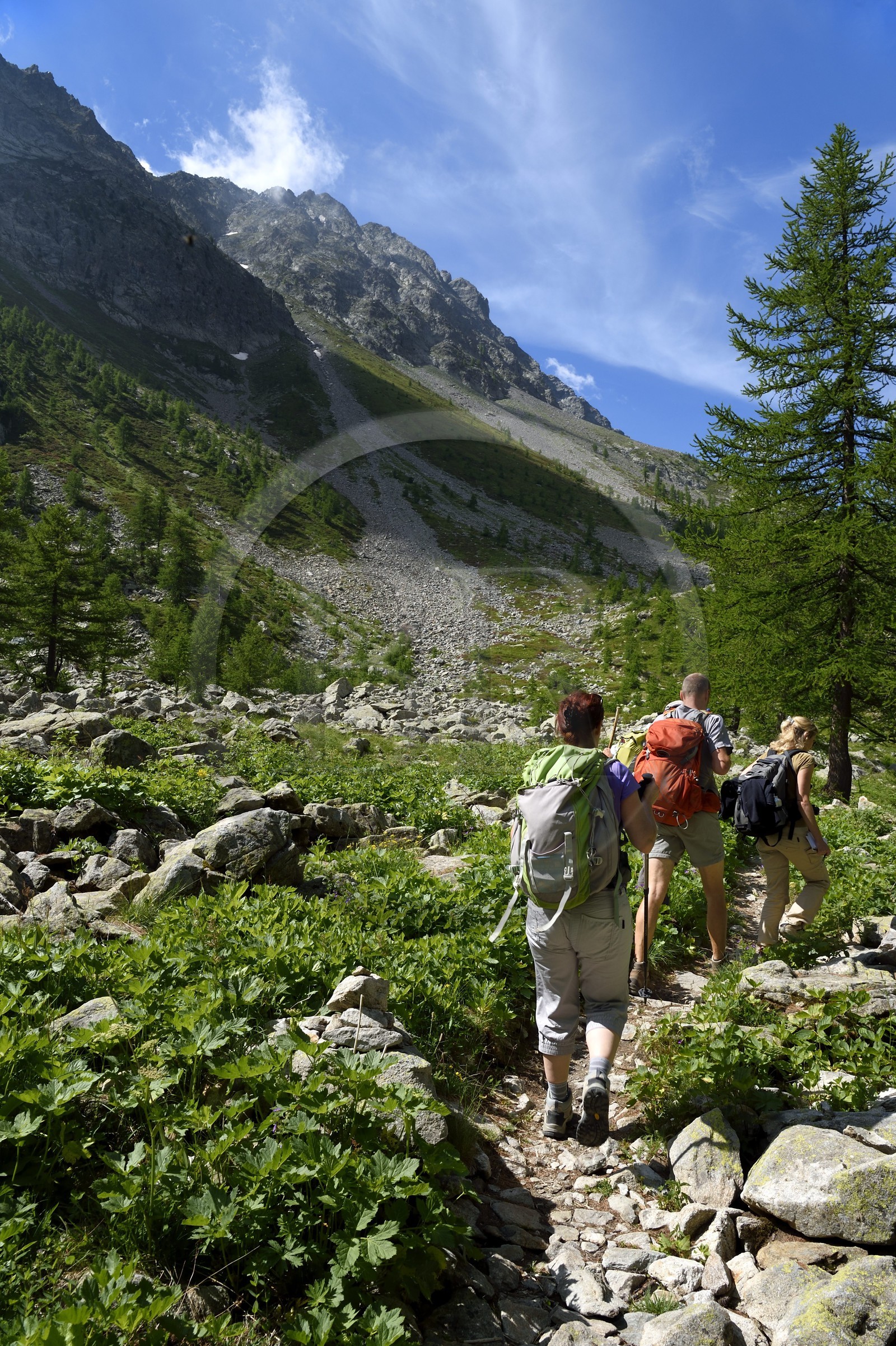 France, Alpes-Maritimes (06), parc national du Mercantour, vallée de la Valmasque, randonneurs sur un sentier au pied du Mont Sainte-Marie (2740m)