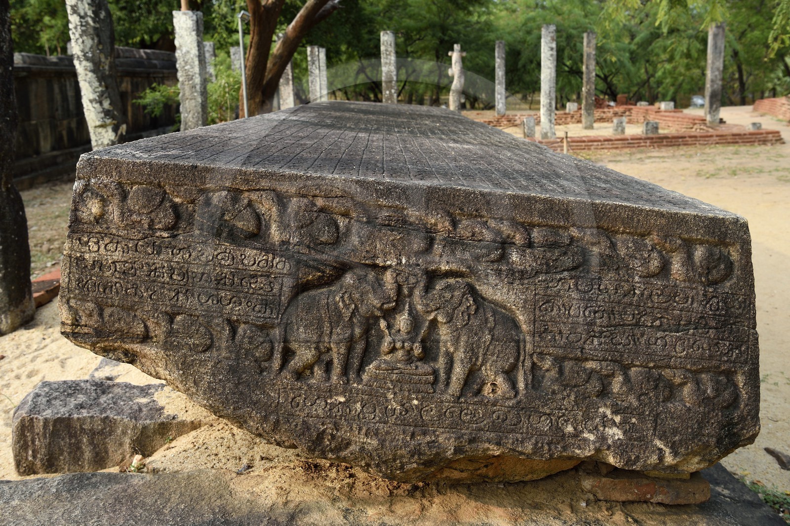 Sri Lanka, province du Centre-Nord, Polonnaruwa, l'ancienne capital du pays (XIe au XIIIe siècle) est classée au Patrimoine Mondial de l'UNESCO, terrasse de la relique de la Dent (Dala Maluwa), Gal Pota (livre de pierre)