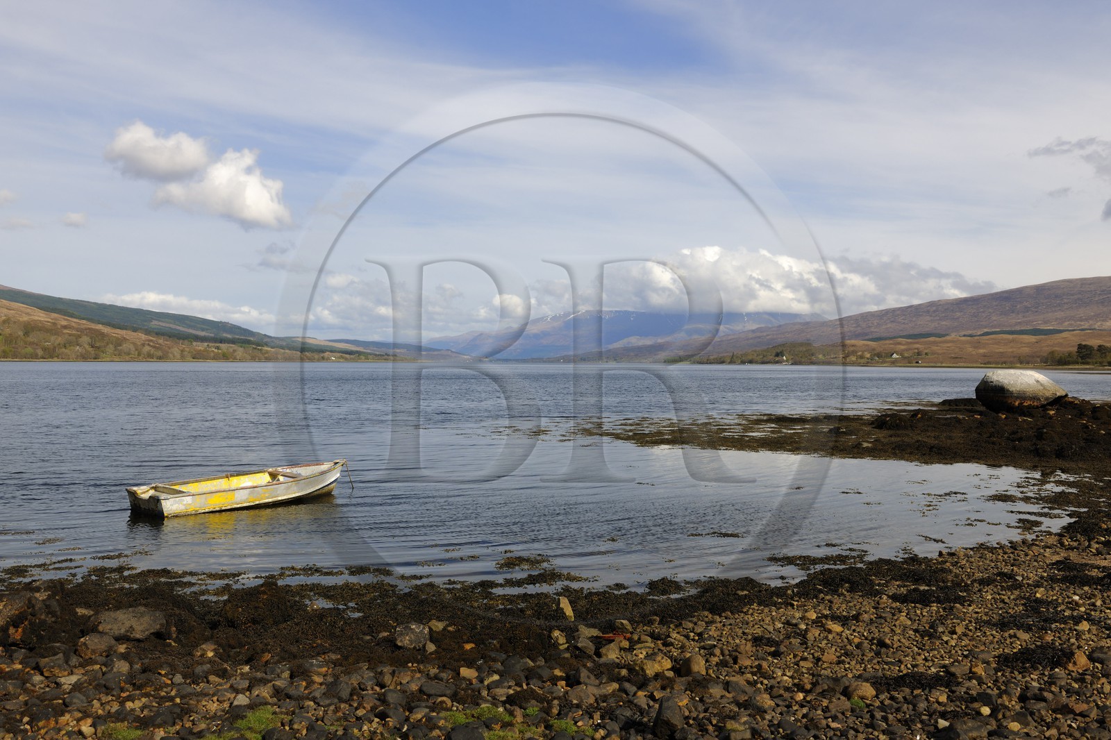 Royaume-Uni, Ecosse, région des Highlands, le Loch Eil vers Fort William et le Ben Nevis au fond