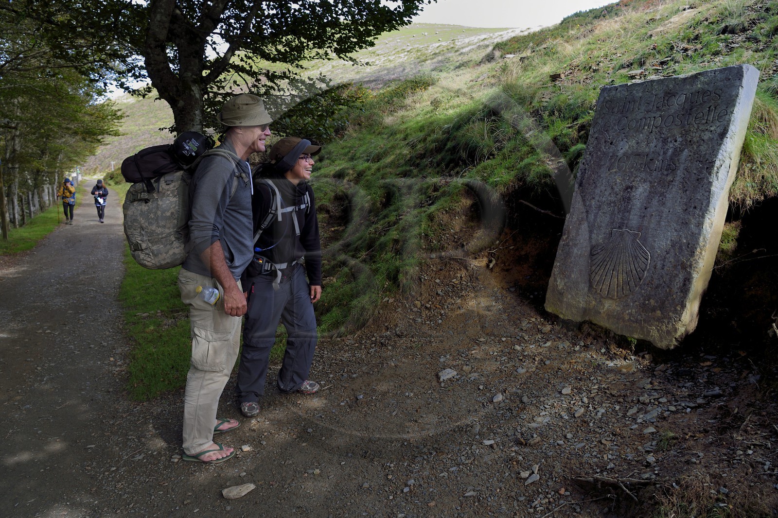France, Pyrénées-Atlantiques (64), Pays-Basque, chemin de Saint-Jacques de Compostelle sur le GR 65 entre Saint-Jean-Pied-de-Port et Roncevaux vers le col de Bentarte, pèlerins devant la stèle indiquant que Compostelle est encore à 765 km