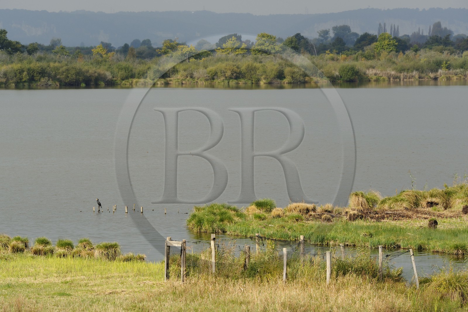 France, Eure (27), Marais-Vernier, la Grande Mare