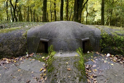 France, Meuse, Douaumont region, battle of Verdun, the Fort de Souville, the Pamard pillbox
