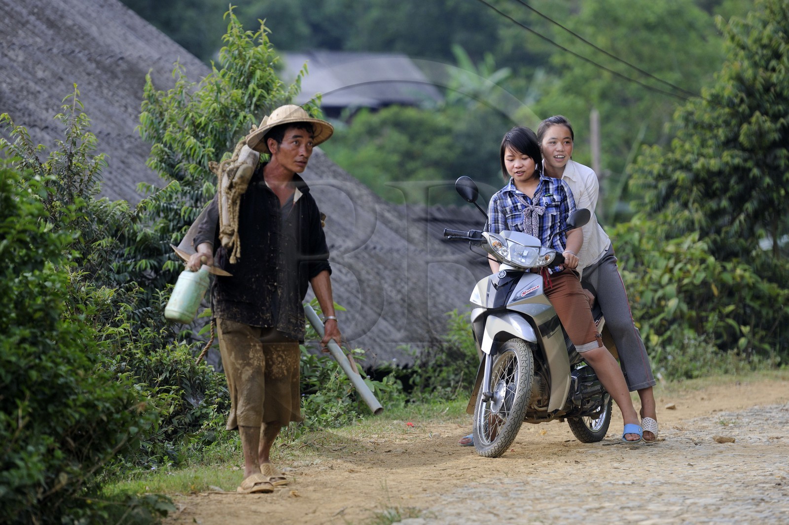Vietnam, Lao Cai province, Bac Ha district, coming back from the field