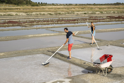 France, Charente Maritime, Port des Barques, Ile Madame, the Ile Madame Aquaculture Farm, Jean Philippe and Gaelle Mineau harvest salt from their saltworks