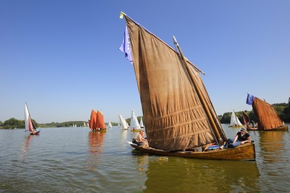 France, Loire-Atlantique (44), Nantes, la rivière Erdre, rencontres de Yachting & Canotage de vieux gréments lors des RDV de l'Erdre