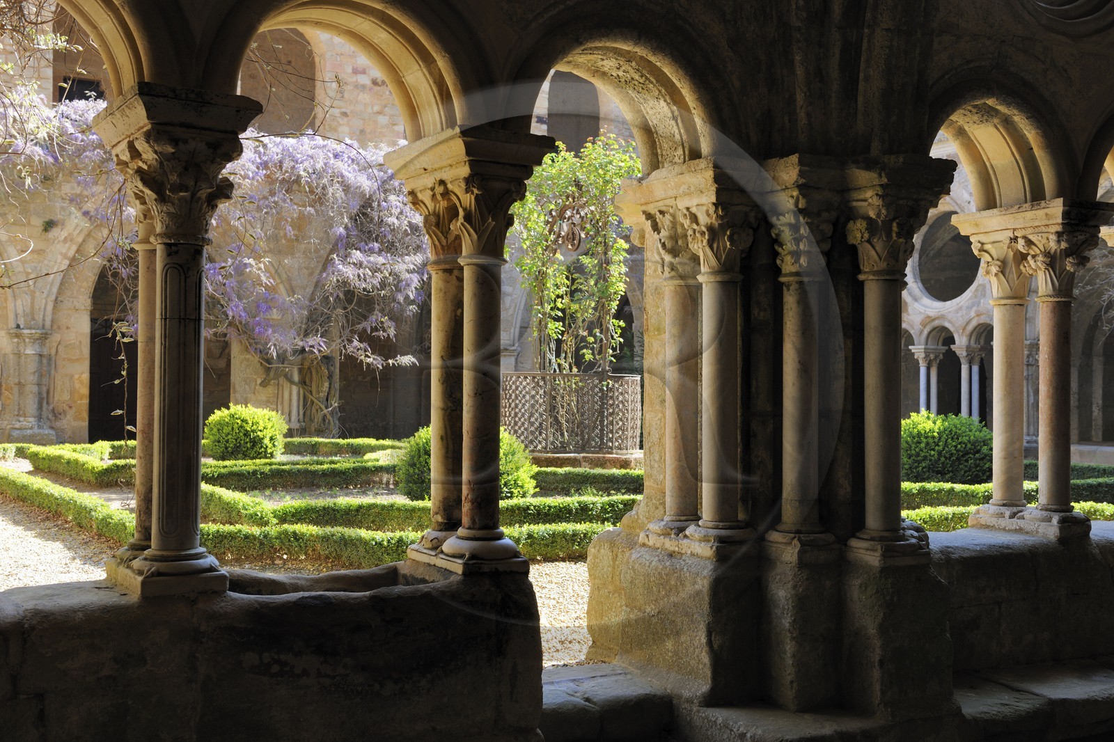 France, Aude (11), abbaye cistercienne de Fontfroide, le cloître