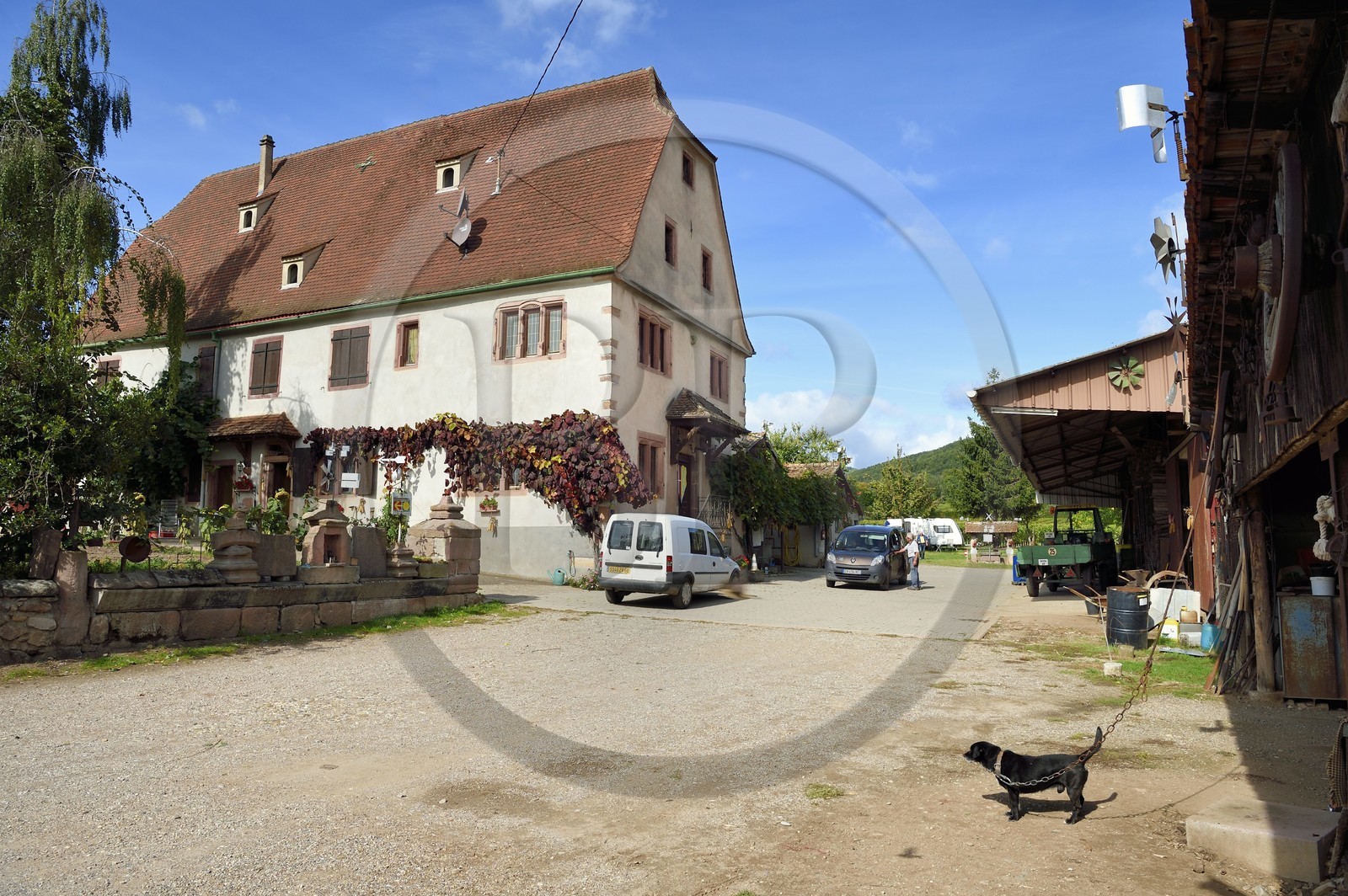 France, Haut-Rhin (68), Route des vins d'Alsace, Bergheim, l'ancienne commanderie de Templiers dite Le Tempelhof