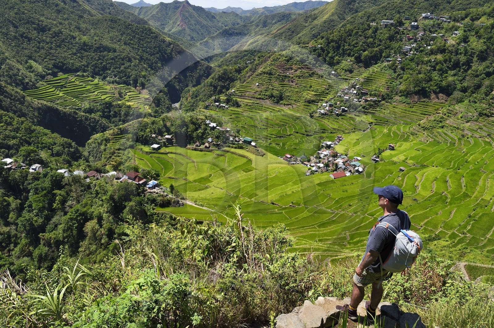 Philippines, province d'Ifugao, randonneur surplombant les rizières en terrasses de Banaue autour du village de Batad, classées Patrimoine Mondial de l'UNESCO