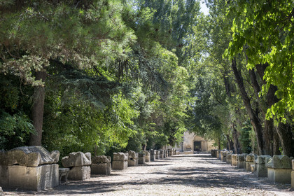 France, Bouches du Rhone, Arles, the Alyscamps, listed as World heritage by UNESCO, a pagan then Christian necropolis from the Roman era to the Middle Ages, comprising numerous sarcophagi