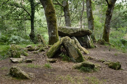 France, Morbihan (56), dolmen de la Loge au loup, allée couverte datée de plus de 4500 ans