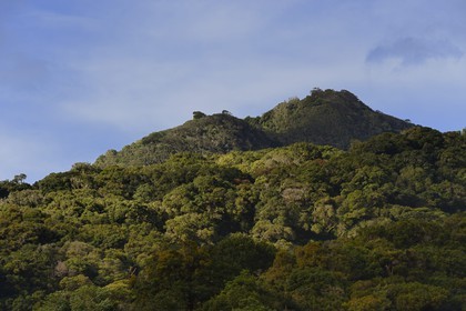 Panama, province de Chiriqui, Boquete, les pentes du volcan Baru, parc national