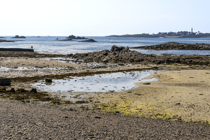 France, Finistère (29), Roscoff, la grève à marée basse au bord du chenal et l'Ile de Batz en arrière plan