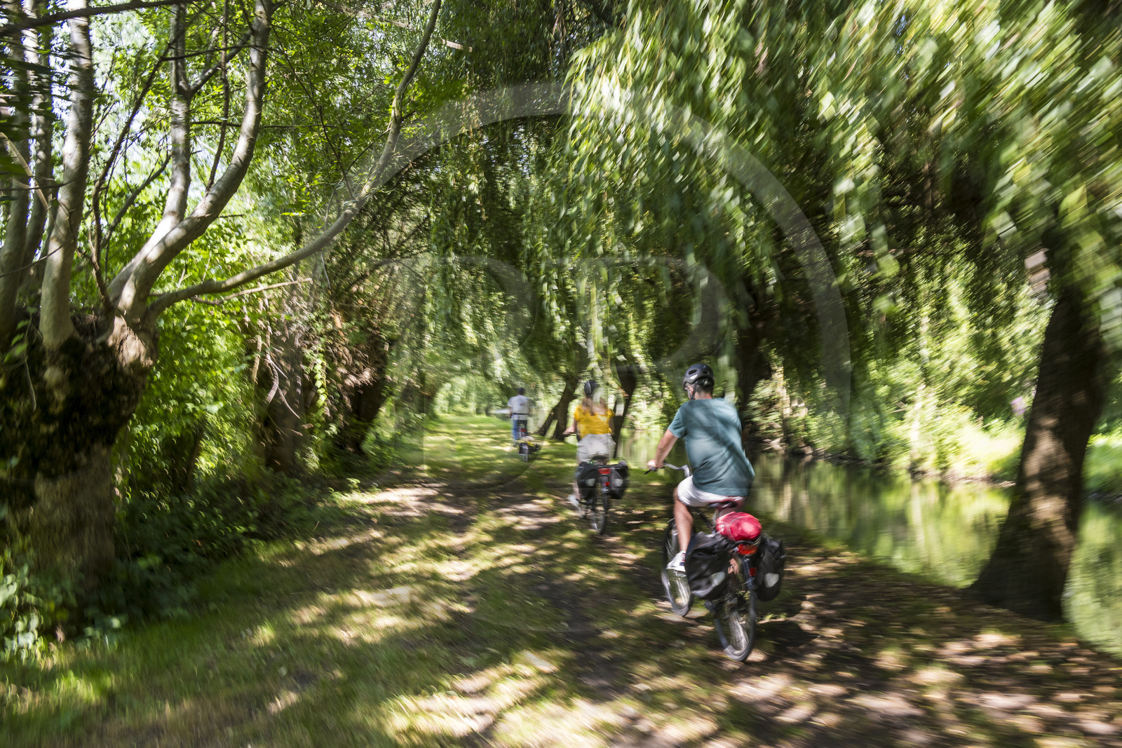 France, Deux-Sèvres (79), le Marais Poitevin, la Venise Verte, Le Vanneau-Irleau, randonnée à bicyclette le long des canaux
