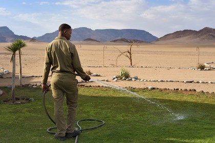 Namibie, région de Hardap, désert du Namib à l'Est du parc national Namib Naukluft vers Sossusvlei, l'hotel Mirage Resort & Spa, un employé arrose le gazon au bord du désert
