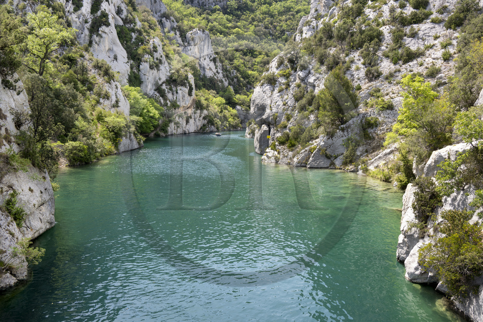 France, Alpes de Haute Provence, Parc Naturel Régional du Verdon, Quinson, discovery by electric boat of the Lower Gorges du Verdon downstream from Lake Sainte Croix