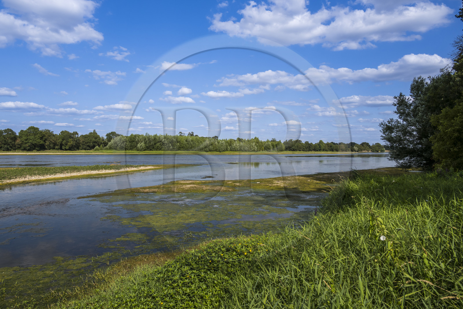 France, Maine-et-Loire (49), vallée de la Loire classée au Patrimoine Mondial par l'UNESCO, Saumur vers Saint-Hilaire, bancs de sable formant des îles sur la Loire