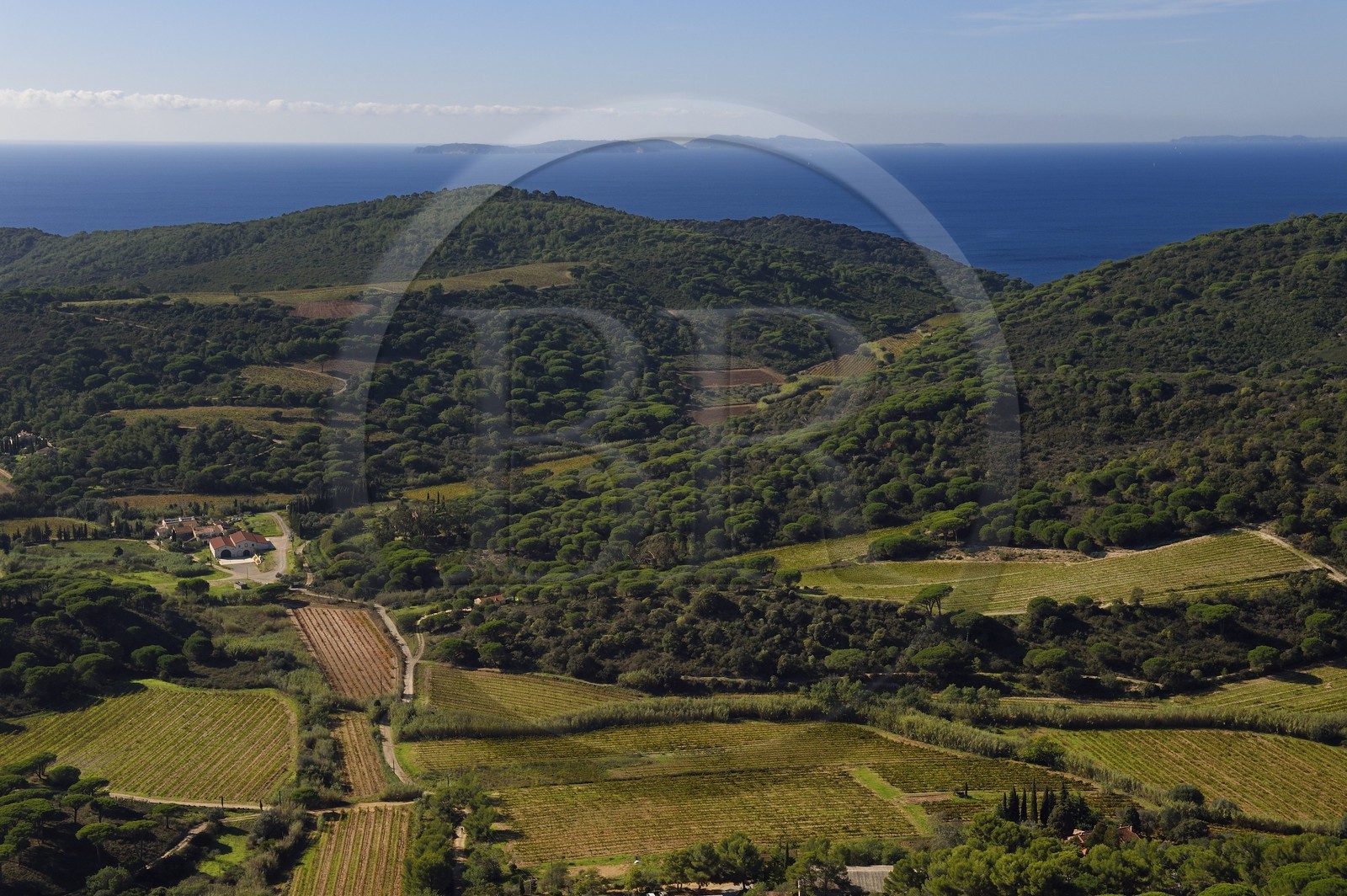 France, Var (83), Presqu'Ile de Saint-Tropez, Ramatuelle, la campagne vers la Bastide Blanche (vue aérienne)