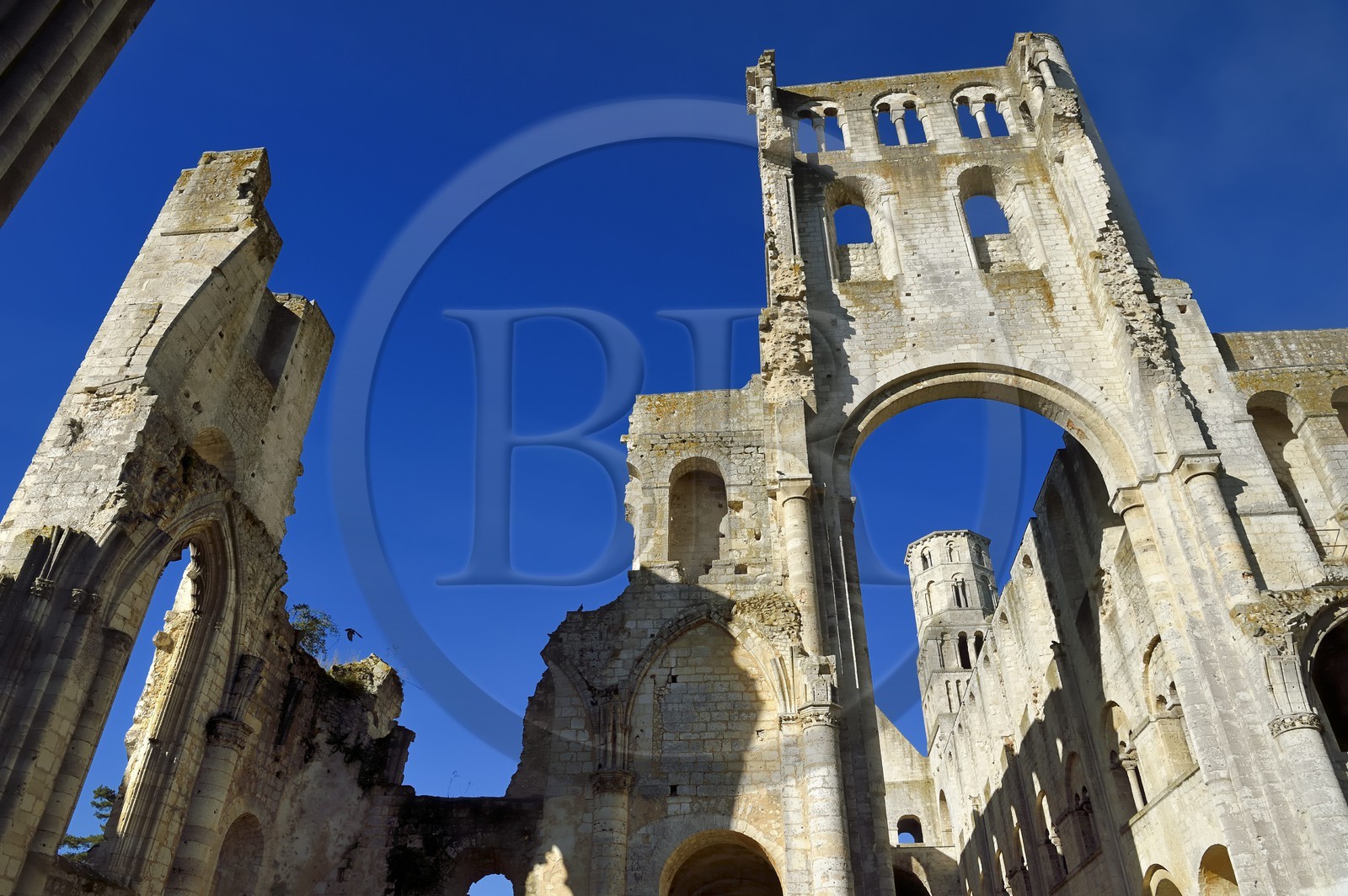 France, Seine-Maritime (76), Pays de Caux, Parc naturel régional des Boucles de la Seine normande, Jumièges, abbaye Saint-Pierre de Jumièges fondée au VIIe siècle