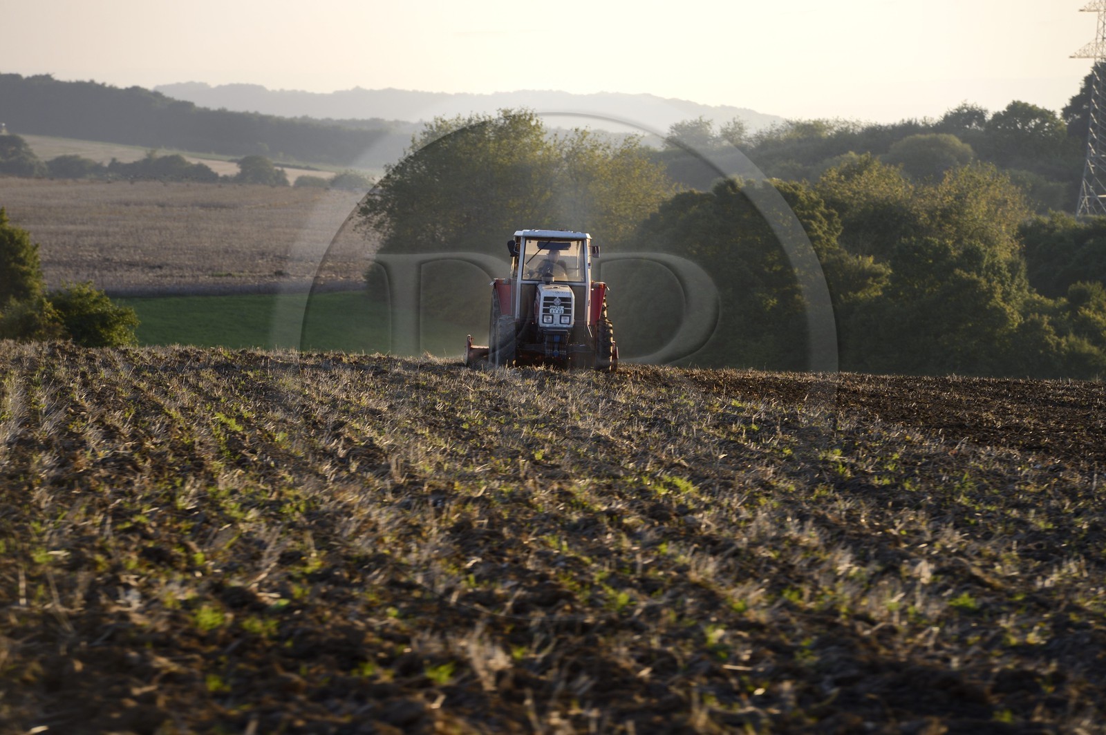 Allemagne, Sarre, région de la Moselle vers Sinz, la campagne au carrefour des trois frontières Luxembourg, France et Allemagne, tracteur dans un champ