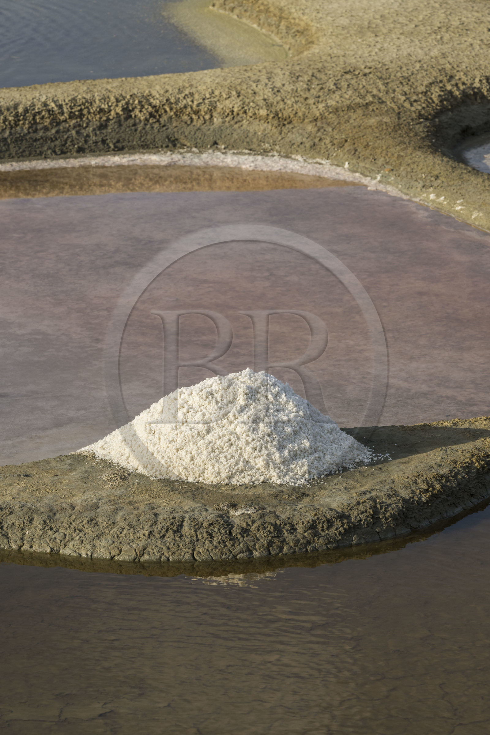 France, Vendee, L'Ile d'Olonne next to Les Sables d'Olonne, salorge de la Vertonne in the Salt Marshes, artisanal salt harvest