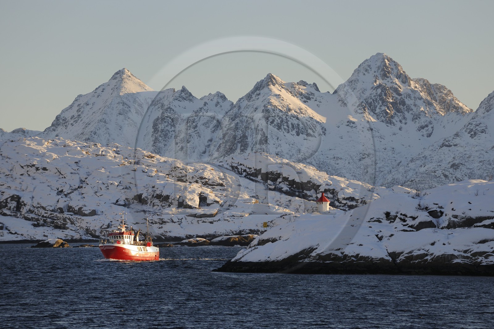 Norvège, Nordland, Iles Lofoten, le port de Svolvaer, retour d'un bateau de pêche