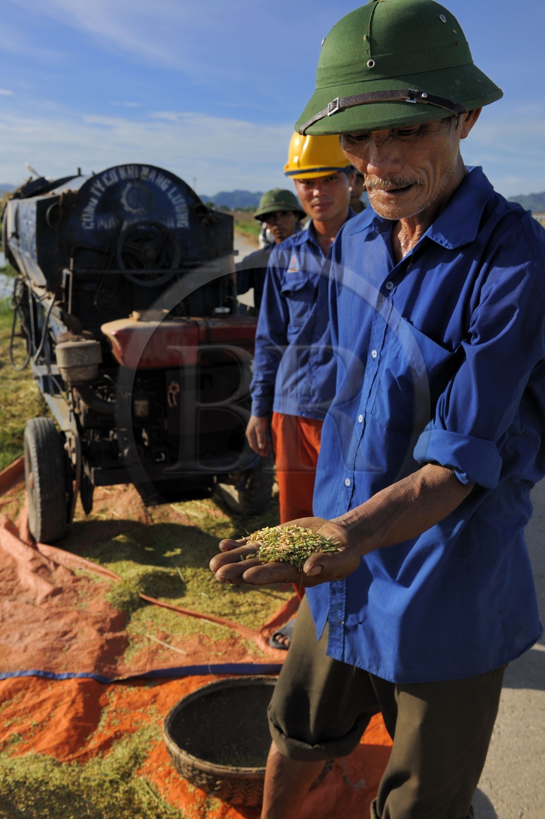 Vietnam, province de Ninh Binh, battage du riz par une machine