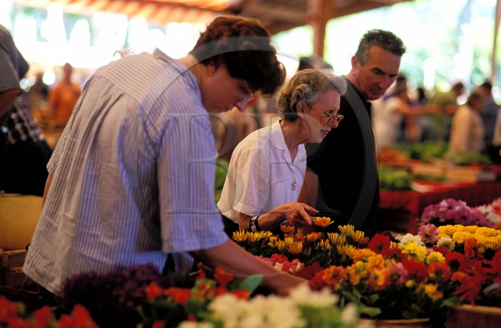 France, Corrèze (19), village de Beaulieu-sur-Dordogne, étal de marché