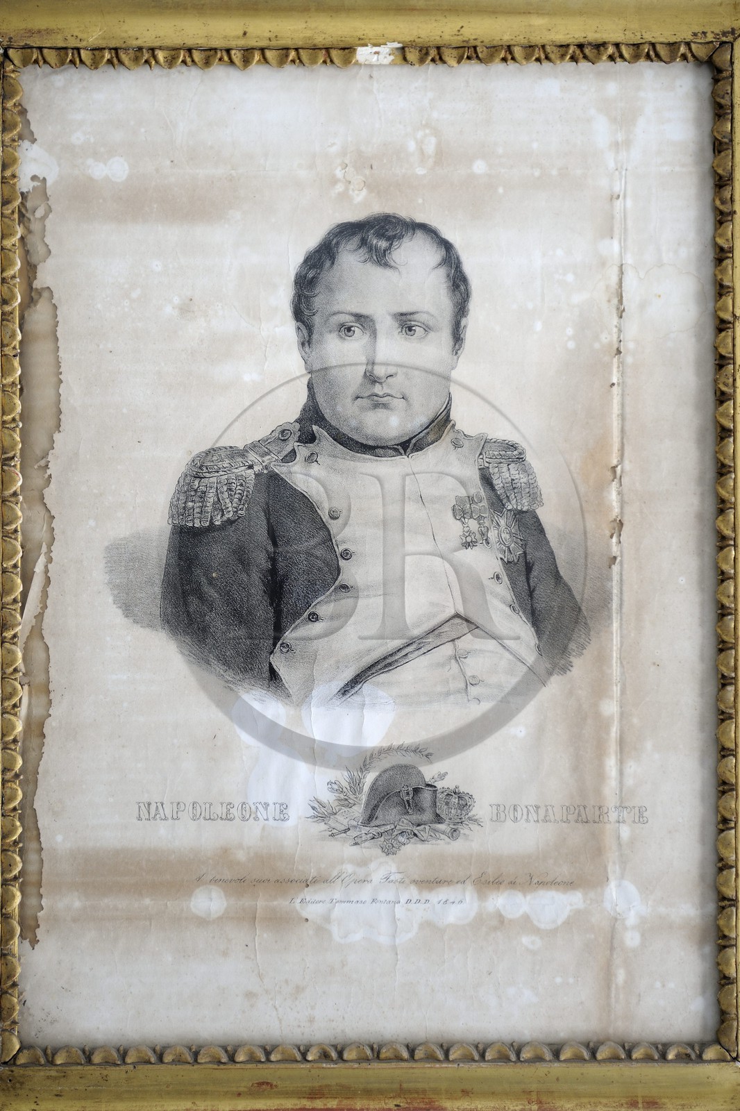 Italy, Verona province, Rivoli Veronese, harvest in the vineyards, portrait of Napoleon Bonaparte at the Napoleonic museum
