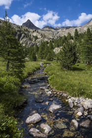 France, Alpes-Maritimes (06), parc national du Mercantour, Haute-Vésubie, Saint-Martin-Vésubie, Val du Haut Boréon, rivière en bordure du GR 52 au lac des Sagnes vers le refuge de Cougourde