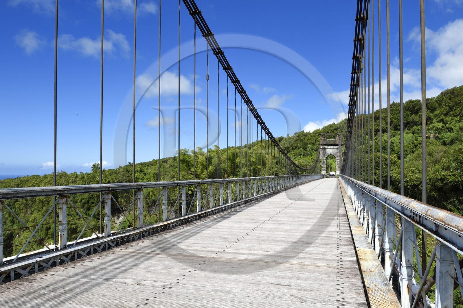 France, Ile de la Reunion, région de la Côte-au-vent, Sainte-Rose, pont suspendu de la rivière de l'Est
