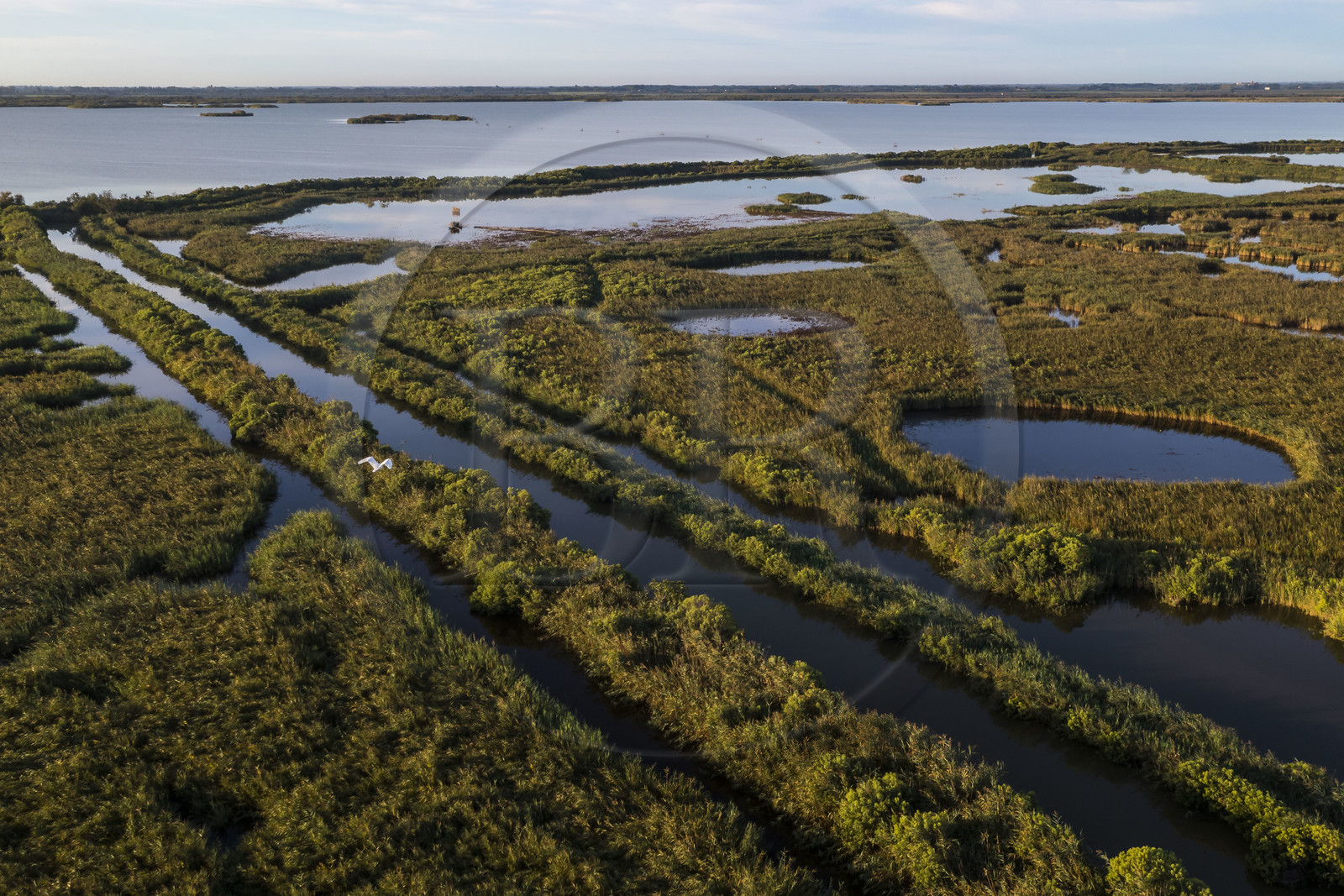 France, Gard (30), les marais de la Petite Camargue à Gallician commune de Vauvert (vue aérienne)