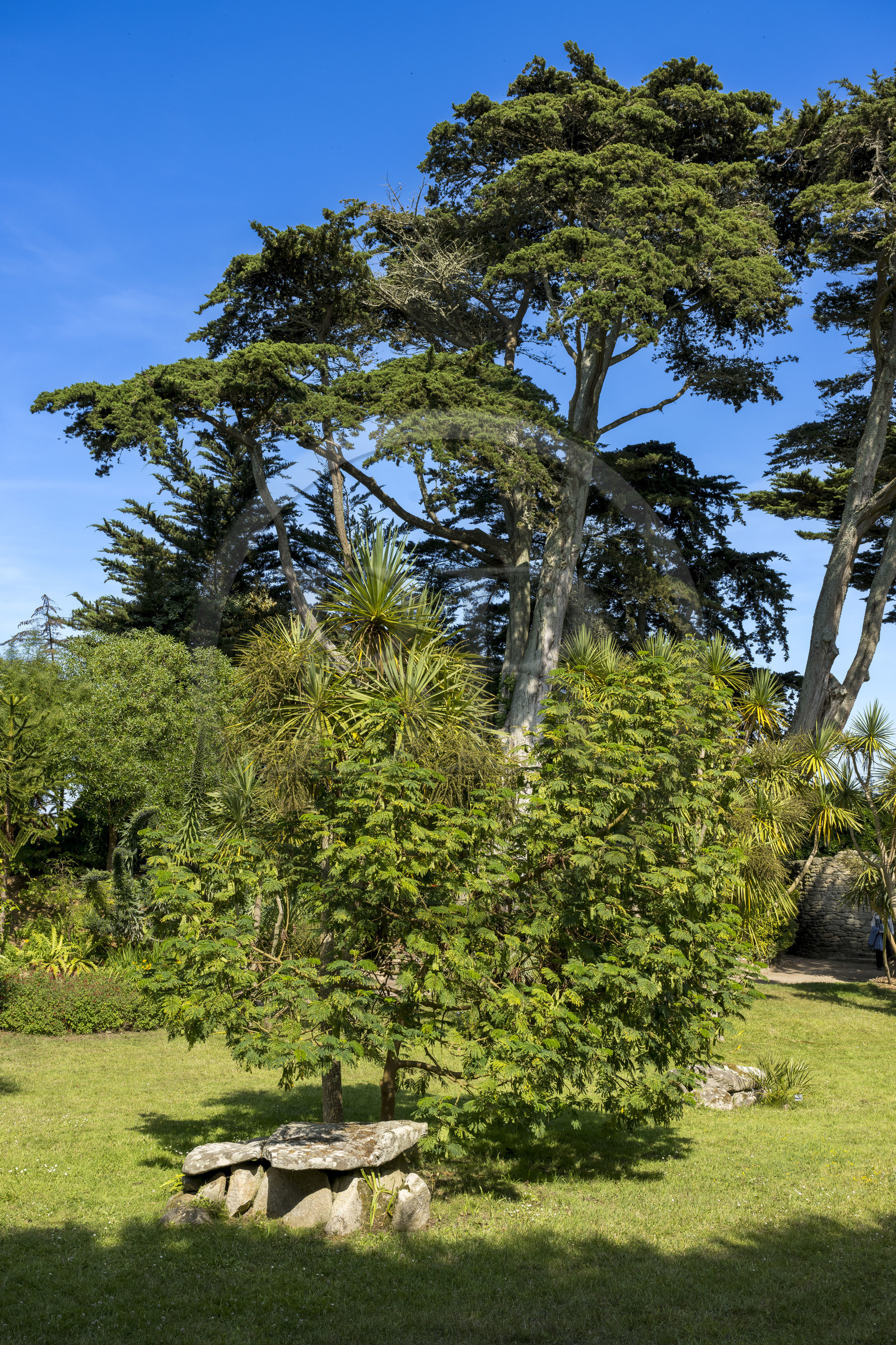 France, Finistère, Ponant Islands, Ile de Batz (Batz Island), Georges Delaselle Garden or colonial garden, an exotic garden with a unique botanical collection from the five continents and remains of a Bronze Age necropolis