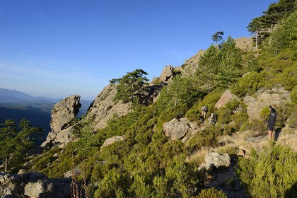 France, Corse du Sud, Alta Rocca, Aiguilles de Bavella (Bavella Needles), hikers on the alpine variante of the GR 20 (Grande Randonnée itinerary)