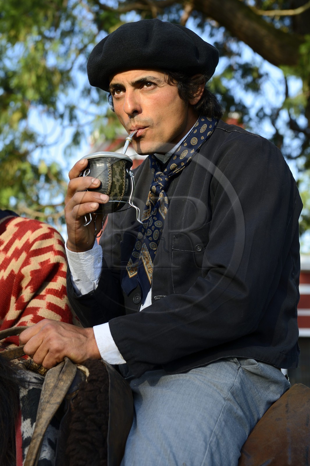 Argentine, province de Buenos Aires, San Antonio de Areco, estancia La Bamba de Areco, gaucho buvant du maté (infusion locale)